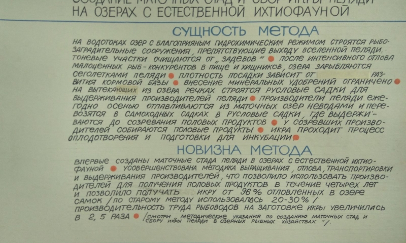 На АЭПБ создана и оснащена современным оборудованием гидрохимическая лаборатория