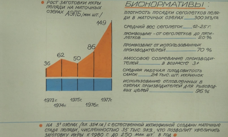 На АЭПБ создана и оснащена современным оборудованием гидрохимическая лаборатория
