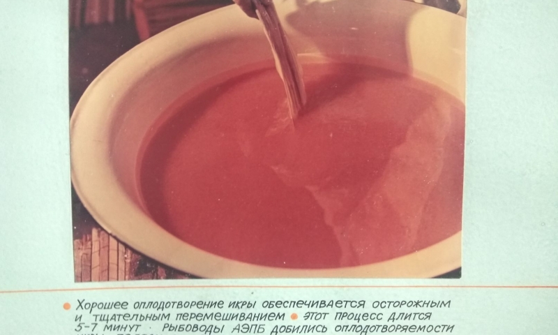 На АЭПБ создана и оснащена современным оборудованием гидрохимическая лаборатория