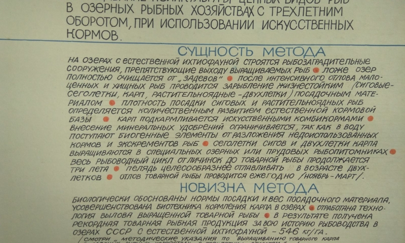 Выращивание поликультуры ценных видов рыб в озерных рыбных хозяйствах с трехлетним оборотом, при использовании искуственных кормов